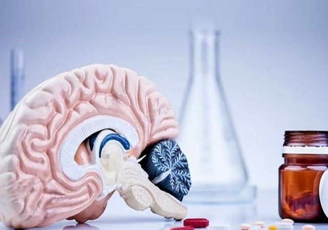 Gia công thực phẩm chức năng bổ não trọn gói đạt chuẩn GMP
