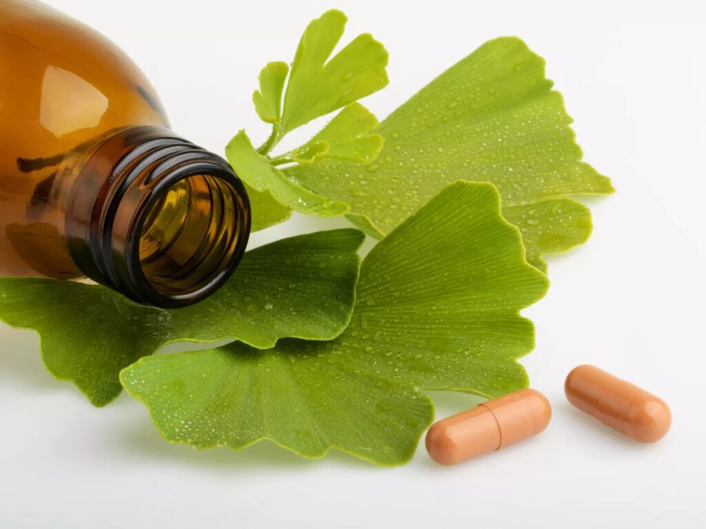 Ginkgo Biloba là gì? Tại sao thực phẩm chức năng bổ não có chứa Ginkgo Biloba?