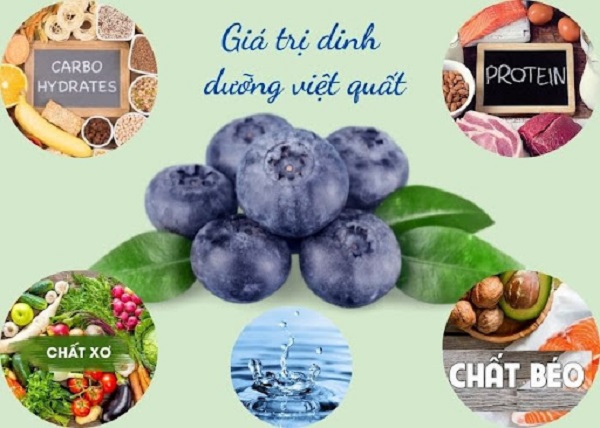 Việt quất - Siêu phẩm dành cho trái tim