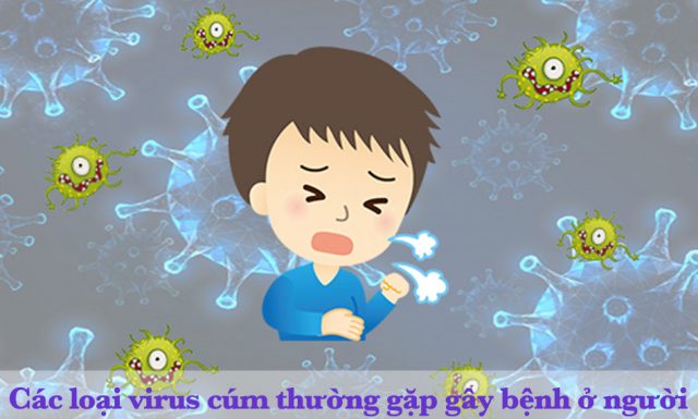 Nguyên nhân và cách phòng tránh Dịch cúm mùa